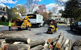 Best Tree Health Inspection  in Kincaid, IL